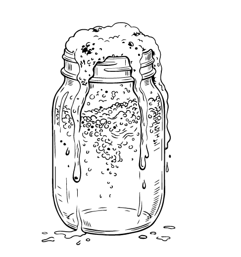 Fermented drink illustration
